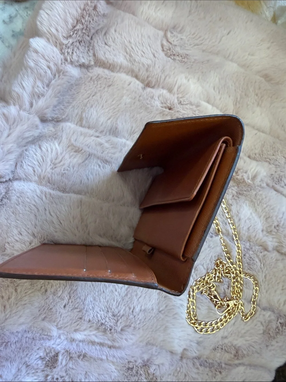 Louis Vuitton Brown Monogram Wallet with Gold Chain